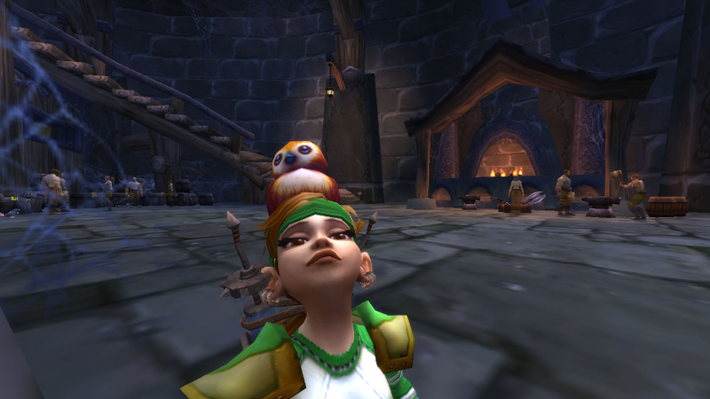Illustration for article titled Fifteen Great World of Warcraft Selfies